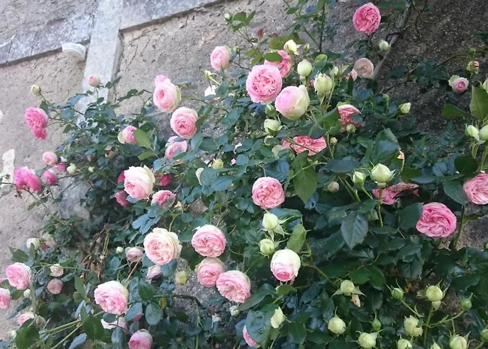 B&B Relais Du Logis 3*